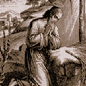 São Pedro Damião - Doutor da Igreja