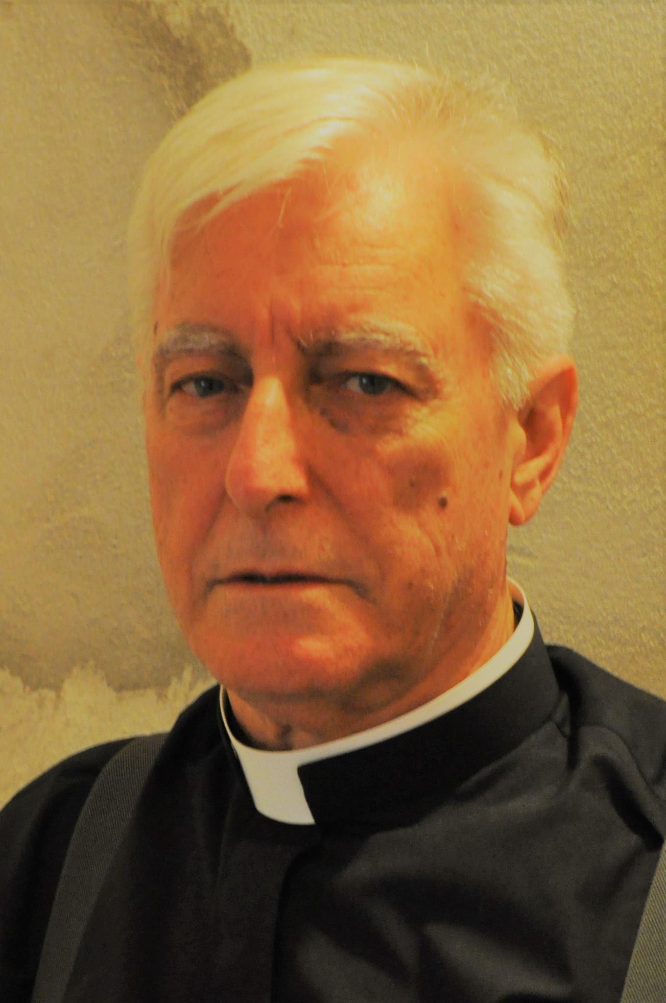 Pe. Renato Colbert Bertin