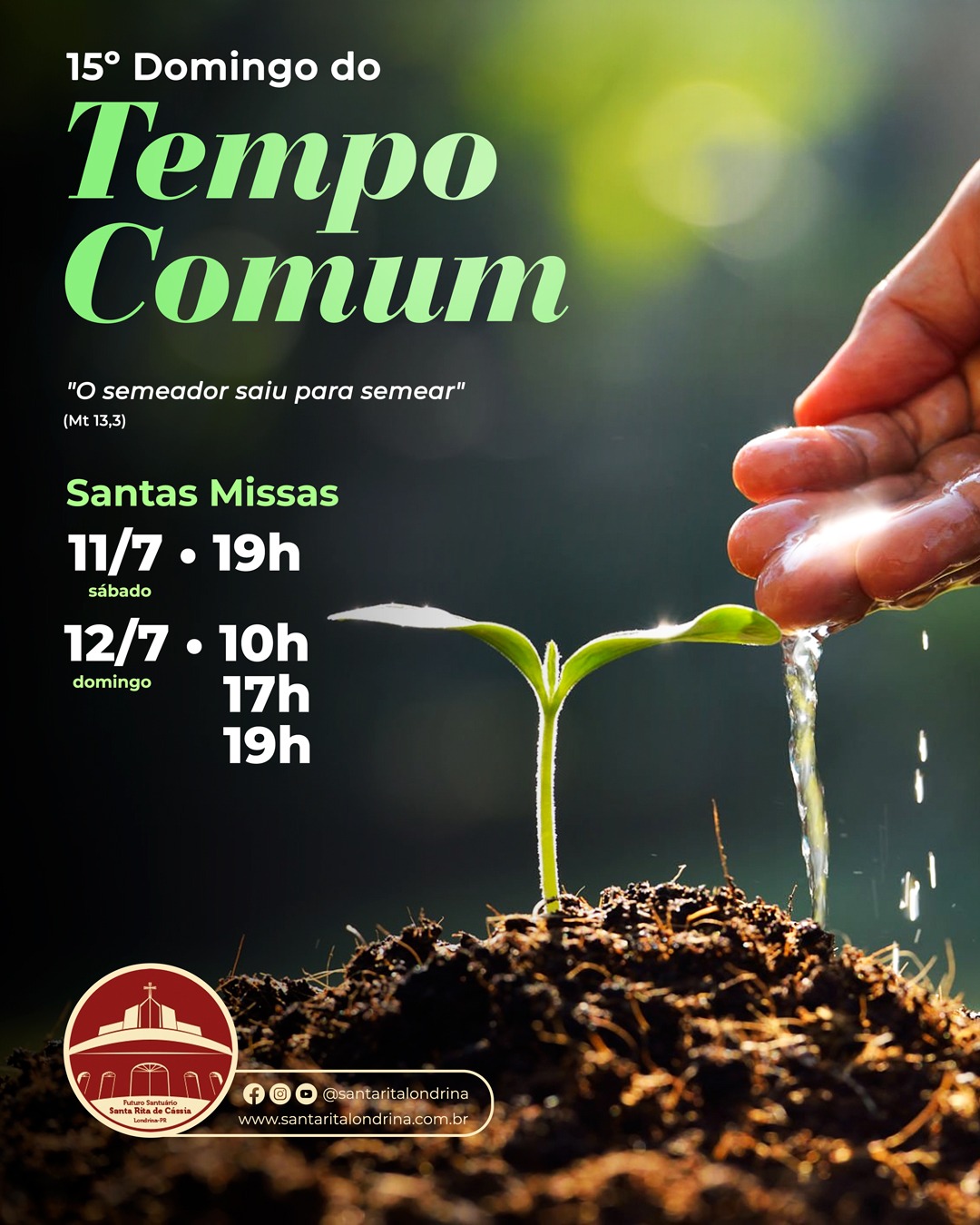 15º Domingo do Tempo Comum
