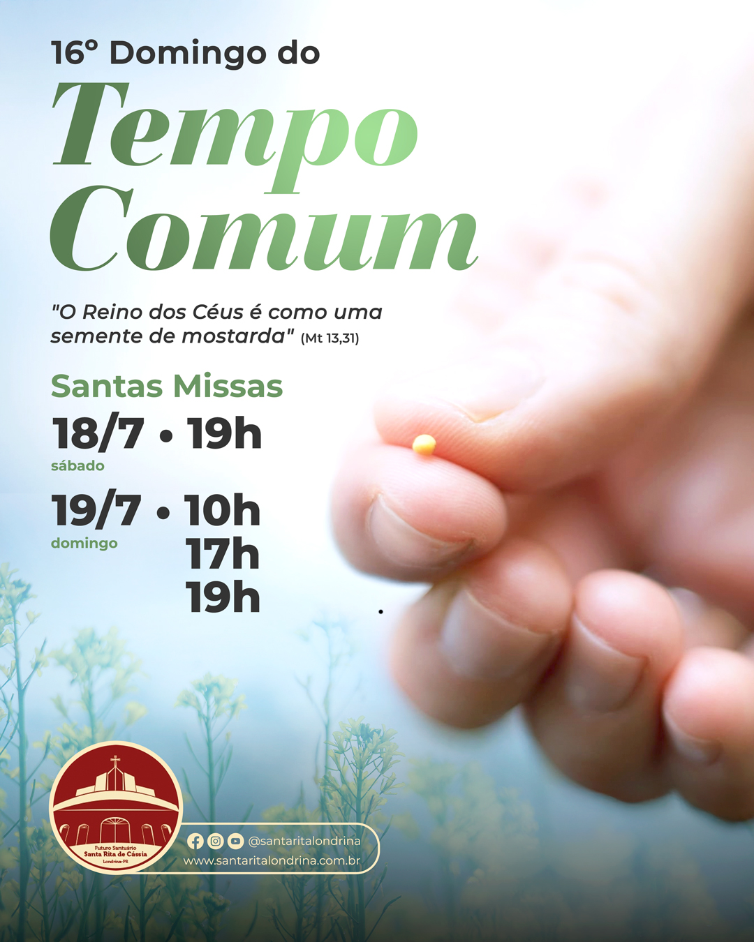 16º Domingo do Tempo Comum